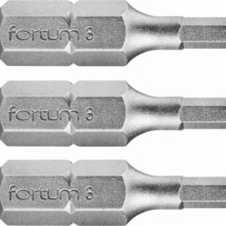 FORTUM Bity IMBUS H3.0x25mm, 3ks, S2