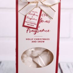 Vonný vosk v krabičke sada 4ks - anjel - Holly Christmas and snow