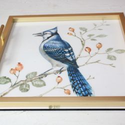 Plastová tácka s modrým vtákom (36x36cm)