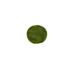 Zeleno-sivé gombíky