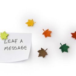 Magnety Qualy Leaf a Message
