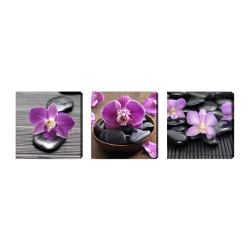 3-dielny obraz na plátne 3x20x20cm Zen stones and flowers šedo-f