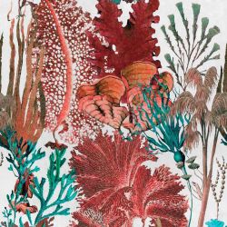 MINDTHEGAP Coral Reef, červená/biela/modrá/farebná skupina modrá/farebná skupina červená/farebná skupina čierna + biela