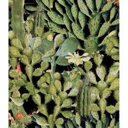 MINDTHEGAP Opuntia Anthracite, zelená/antracitová/farebná skupina zelená