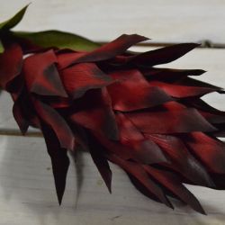 Umelý kvet kurkuma - červená (V:90cm) 061