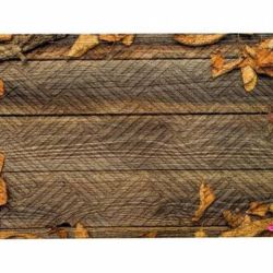 Kinekus Rohož 45x75cm guma+textil, dekor drevo a listy