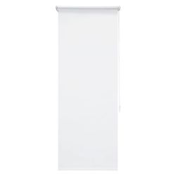 Livarno Home Roleta na okná (60 x 150 cm, biela)