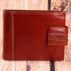 Pánska peňaženka CEFIRO (XH01-3152-20) - hnedá (12x9,5cm)