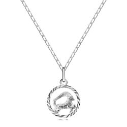 Šperky Eshop - Náhrdelník z 925 striebra - retiazka a znamenie zverokruhu KOZOROŽEC S32.14