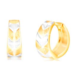 Šperky Eshop - Okrúhle náušnice v 14K zlate - krúžok s matným dvojfarebným vzorom V S3GG217.27