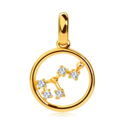 Šperky Eshop - Okrúhly prívesok 14K žlté zlato, symbol súhvezdia Lev, číre zirkóny S2GG242.21
