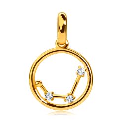 Šperky Eshop - Prívesok 14K žlté zlato, hviezdne znamenie Vodnár v kruhu, číre zirkóny S2GG242.29