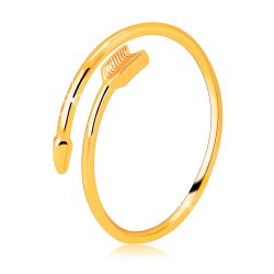 Šperky Eshop - Prsteň zo žltého 9K zlata - zatočený šíp, rozpojené ramená prsteňa S4GG246.49/54 - Veľkosť: 54 mm