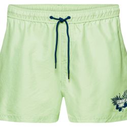 LIVERGY® Pánske šortky na kúpanie (L, zelená)