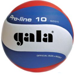 Volejbalová lopta GALA Pro Line 5121S