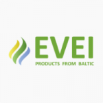 EVEI.sk - logo